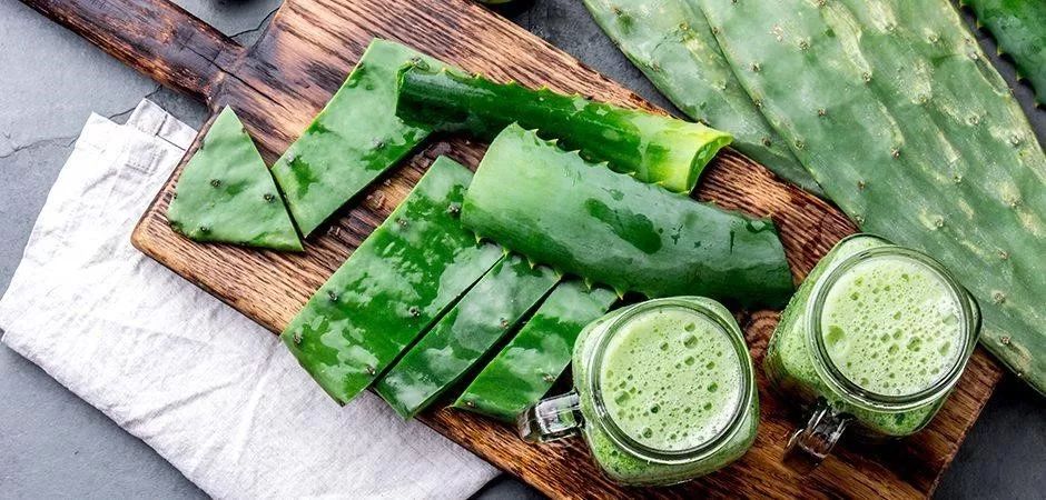 仙人掌南极苔藓猴面包树还有什么是人不能吃的