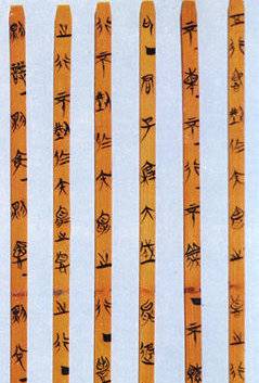 《诗经》的窈窕淑女,硕鼠到底何意安大简亮出最早版《诗经》