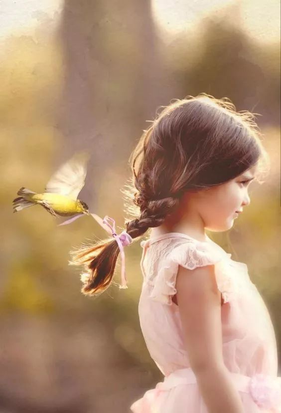 太可爱了:看完心情大好!