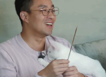 汪小菲|大s|扎心_新浪新闻