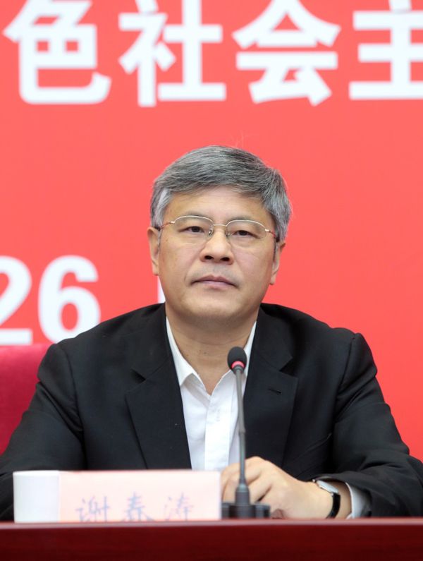 中央党校(国家行政学院)副校(院)长谢春涛发言.