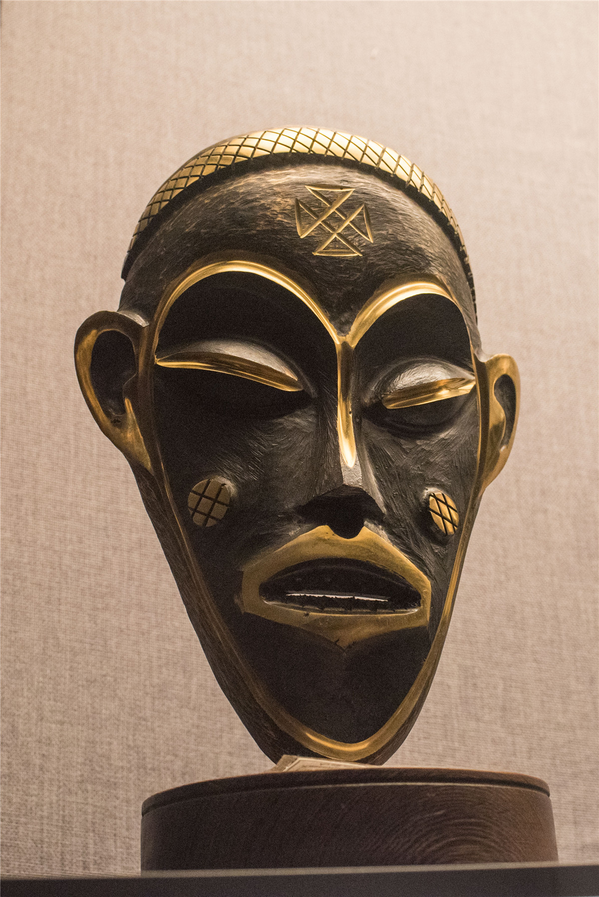 "表情包""神奇动物"……非洲赠我"国礼"大观