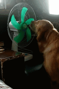 237_360gif 动态图 动图