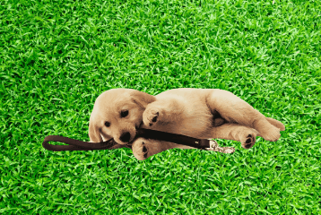 358_240gif 动态图 动图