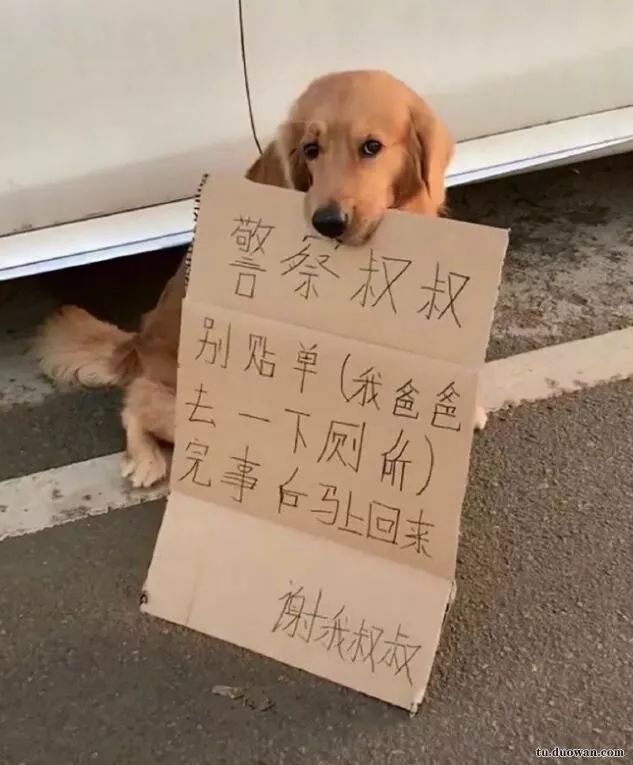 车损险不计免赔什么意思 银泰车险赔钱爽快吗