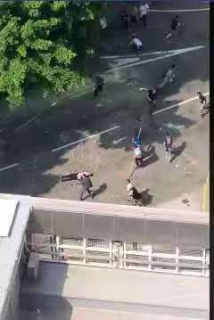 罗伯被示威者扔砖砸中头部视频截图。