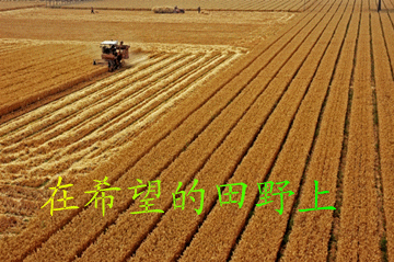 360_239gif 动态图 动图