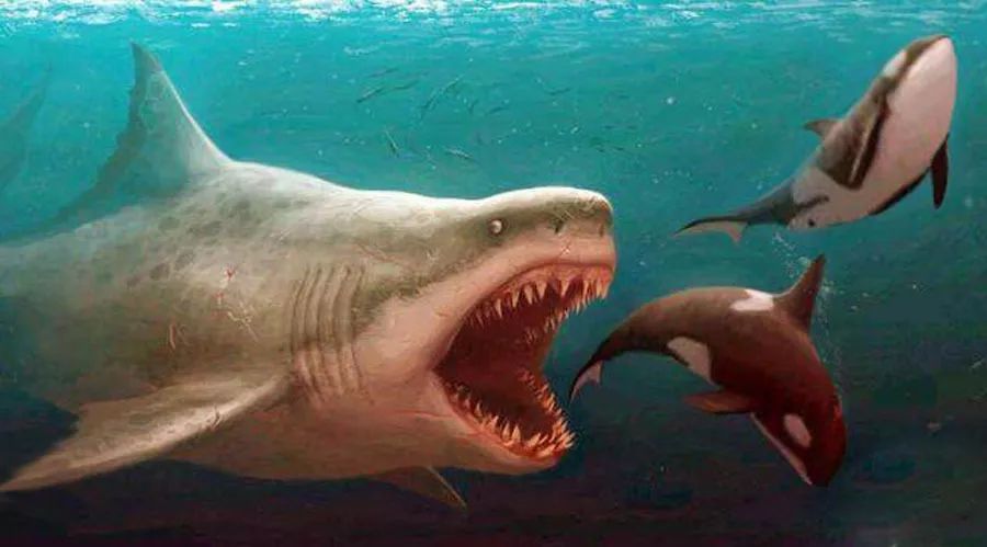 史前巨怪激战杰森·斯坦森《巨齿鲨》闯入imax大银幕大开"鲨"戒