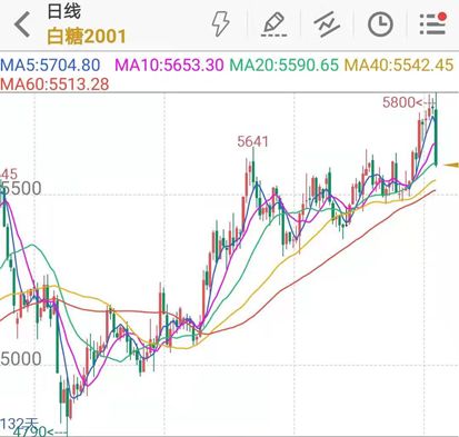 多头集体退场 郑糖大幅下挫