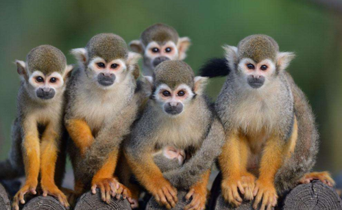 去哪儿|六一|紫马岭_新浪新闻