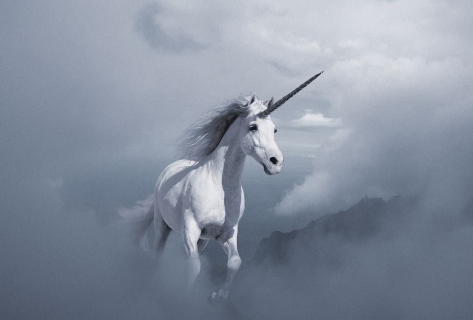 深圳独角兽去年已达14家里面还有搞装修的最受资本关注的是这种企业