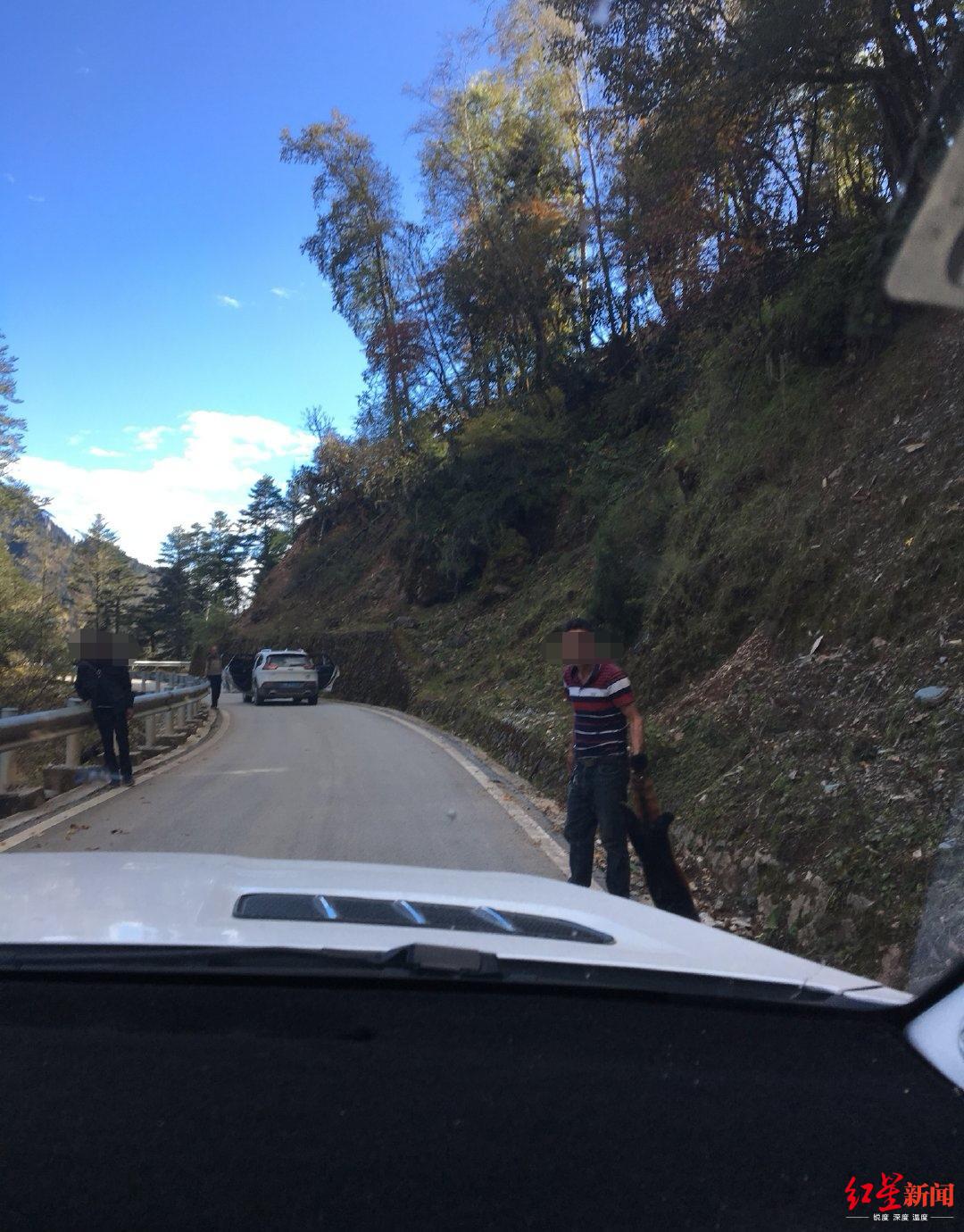 小熊猫车:网友称小熊猫被车压死 四川凉山警方介入调查 ↑网友拍下男子拖走小熊猫的照片