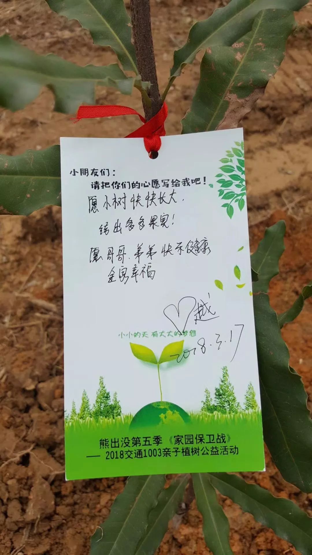 二月来种树忙1003家园保卫战第五季第二期植树节公益活动来到这里