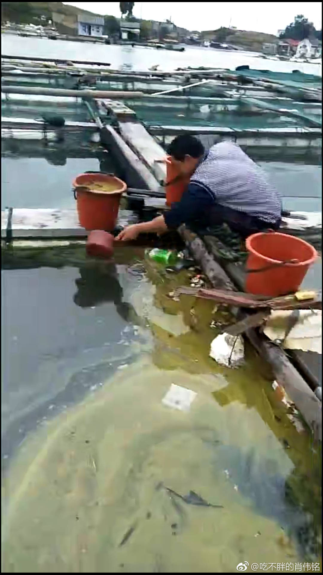 海面出现黄褐色油污状泄漏物，渔民正在处理。受访者供图