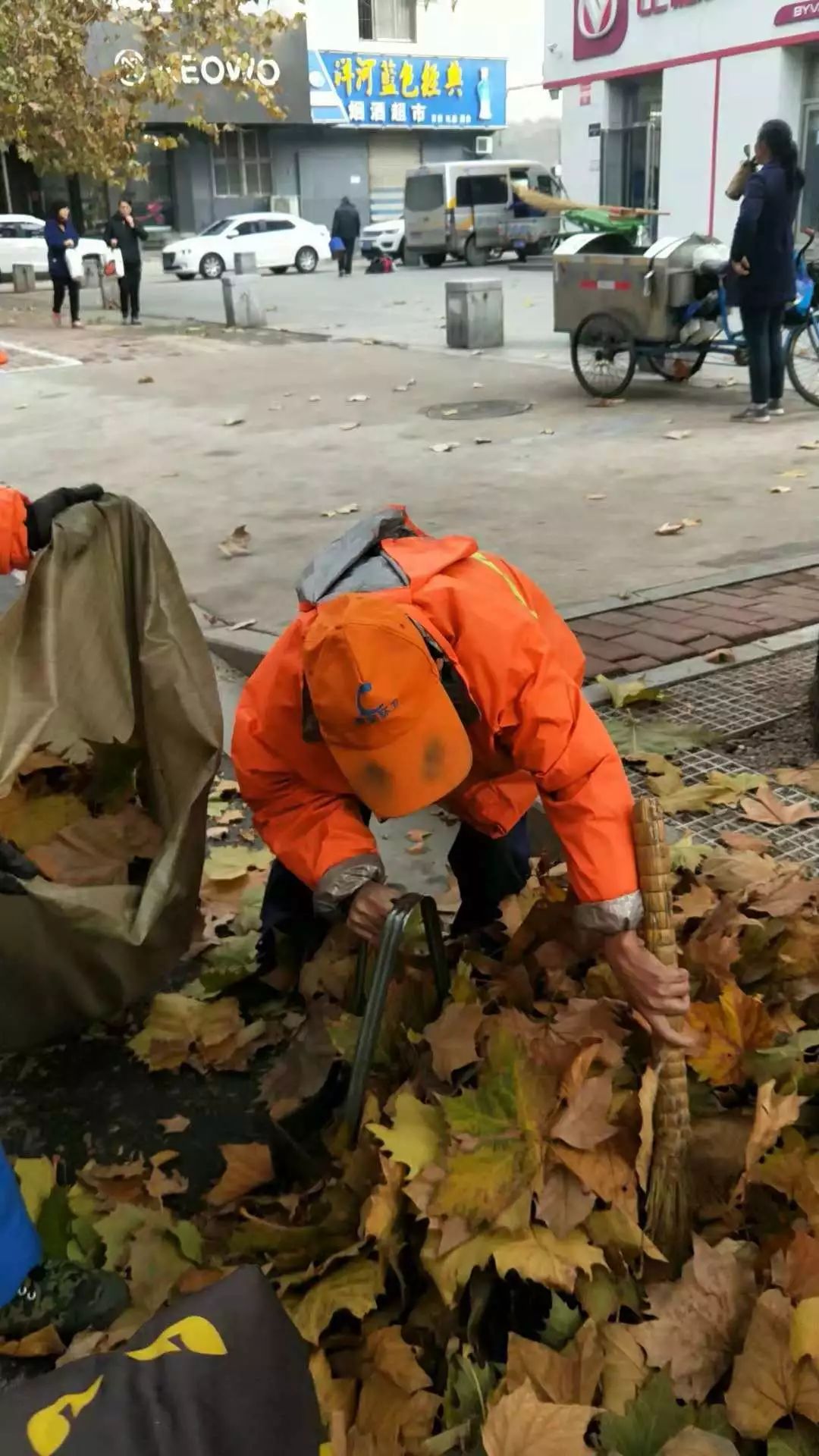 感动,因为那些身影!落叶美了初冬,却辛苦了环卫工!我们能做的是