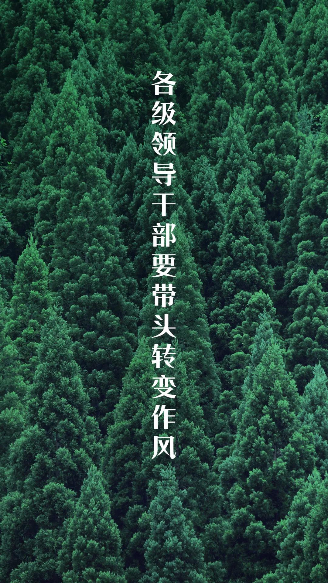 邵阳老八项都是什么服务