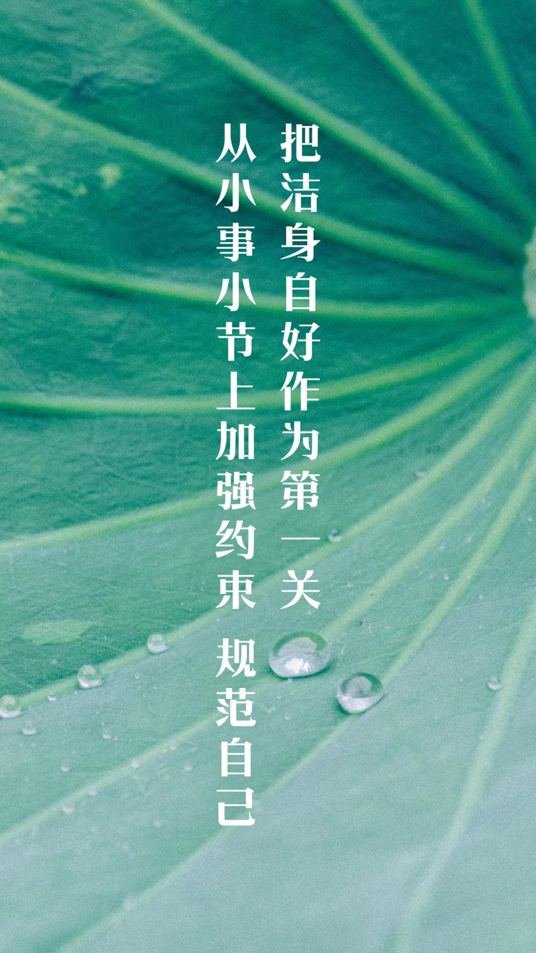 荆门老八项都是什么服务