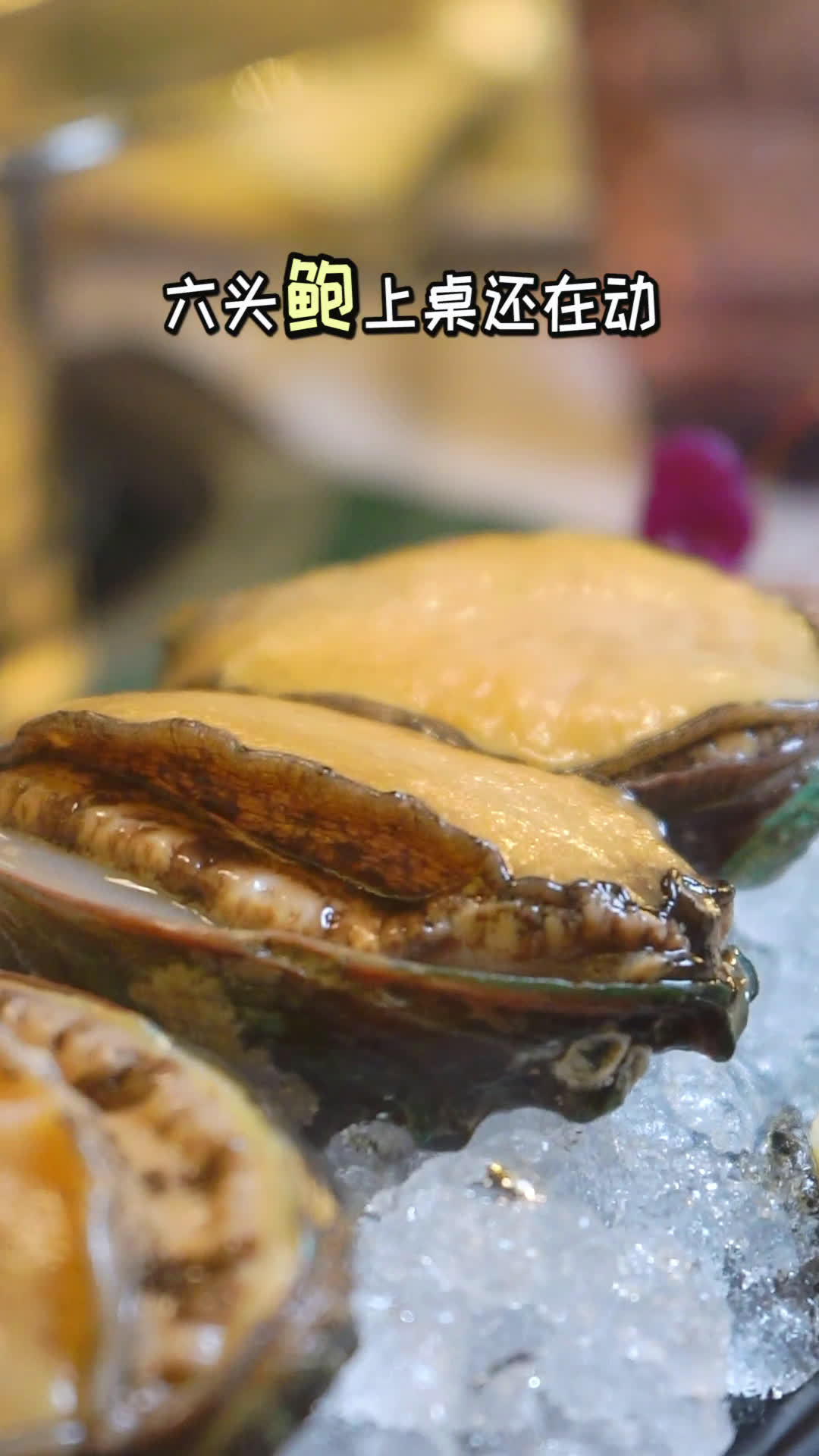 视频|开启泰式按摩申遗后泰国又官宣:下一个是