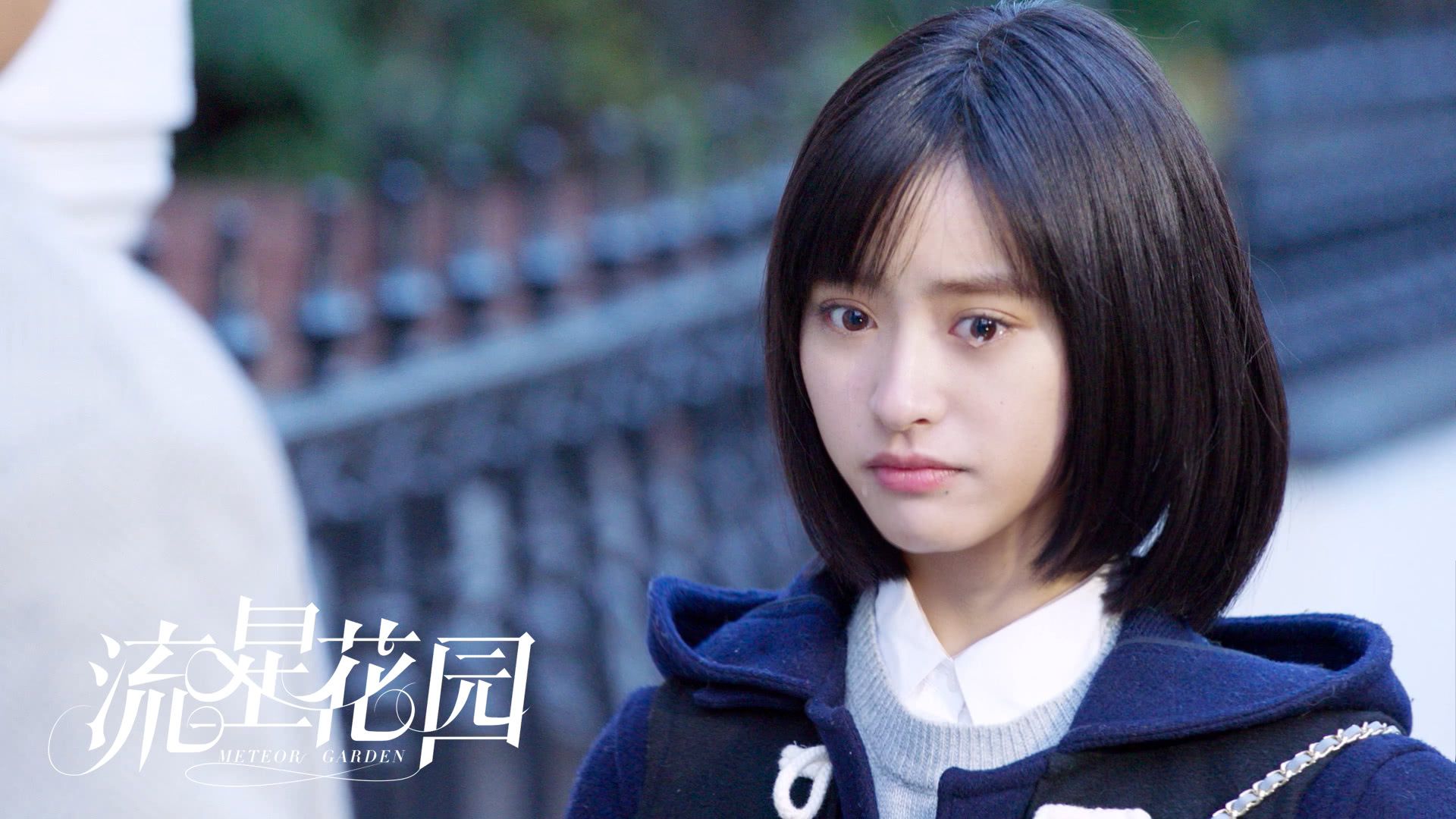 《流星花园》收视下降豆瓣评分2.9,这么火ip都能让观众弃剧