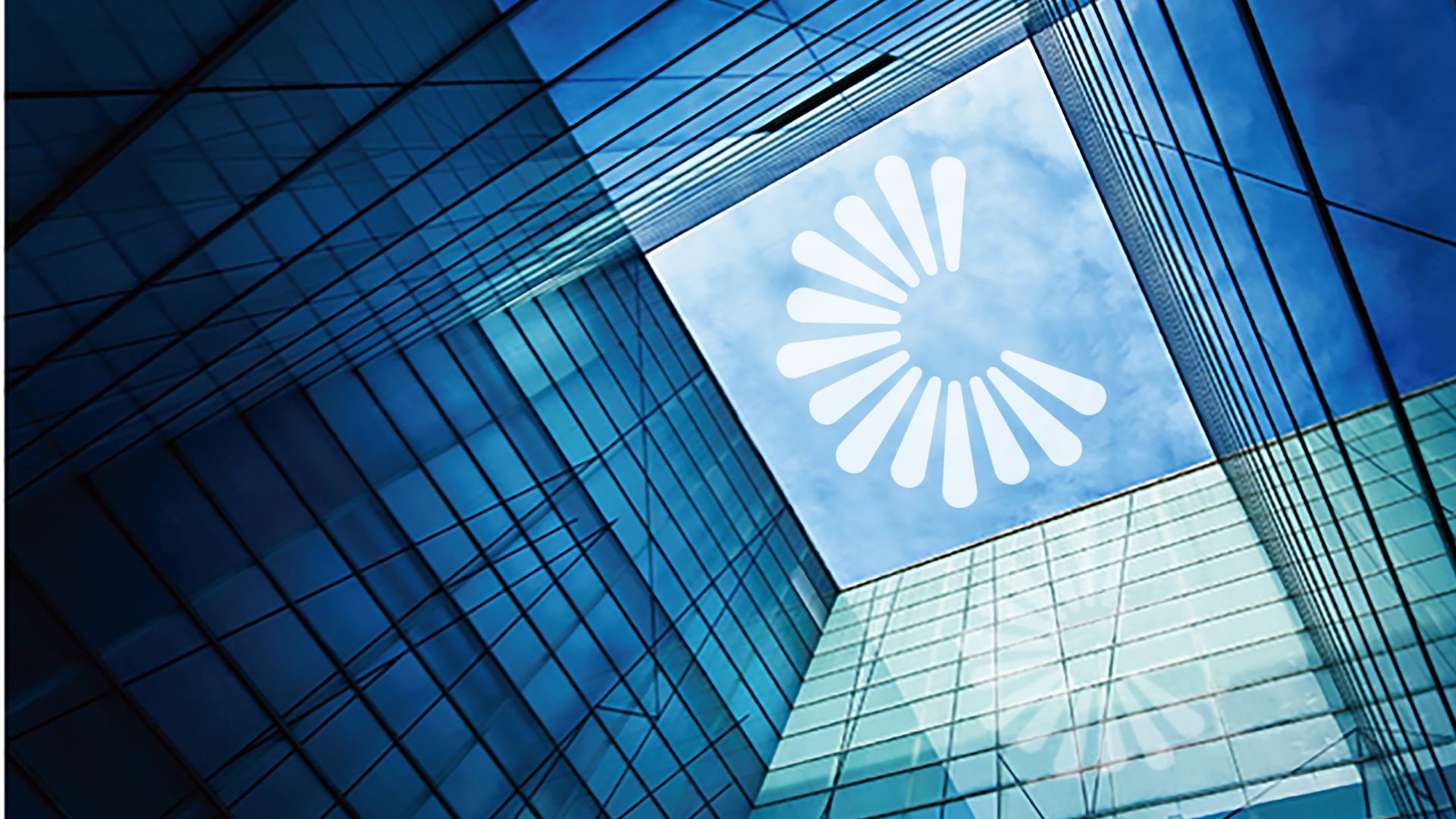 荣耀将独立,小米、魅族们如何应对?|荣耀|华为