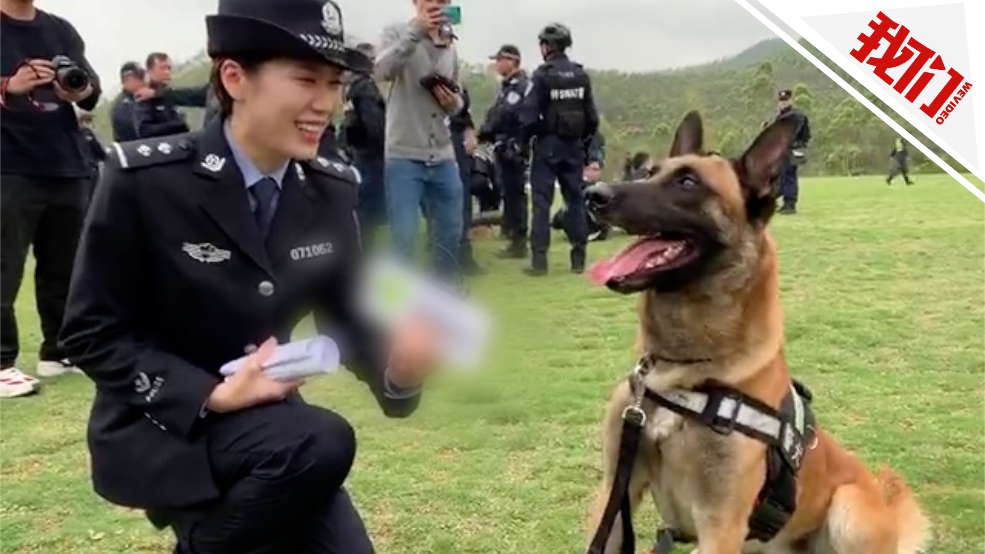 警花小姐姐采访警犬 顺利"翻译"出"汪星语"