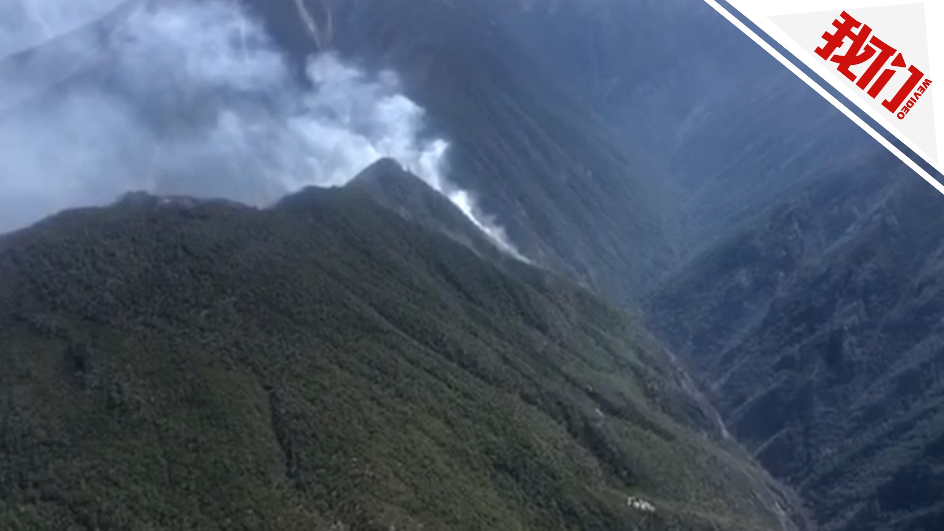 凉山火场复燃:燃烧木桩滚落崖下 引燃树木形成树冠火|木桩|火场|凉山_新浪新闻