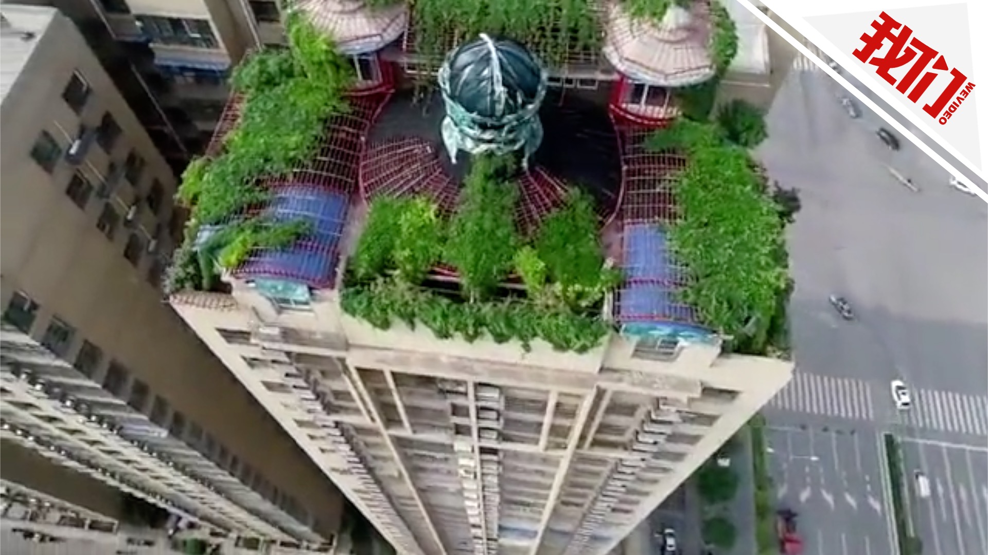 男子花百万26楼顶建"空中花园" 被认定违建要求拆除