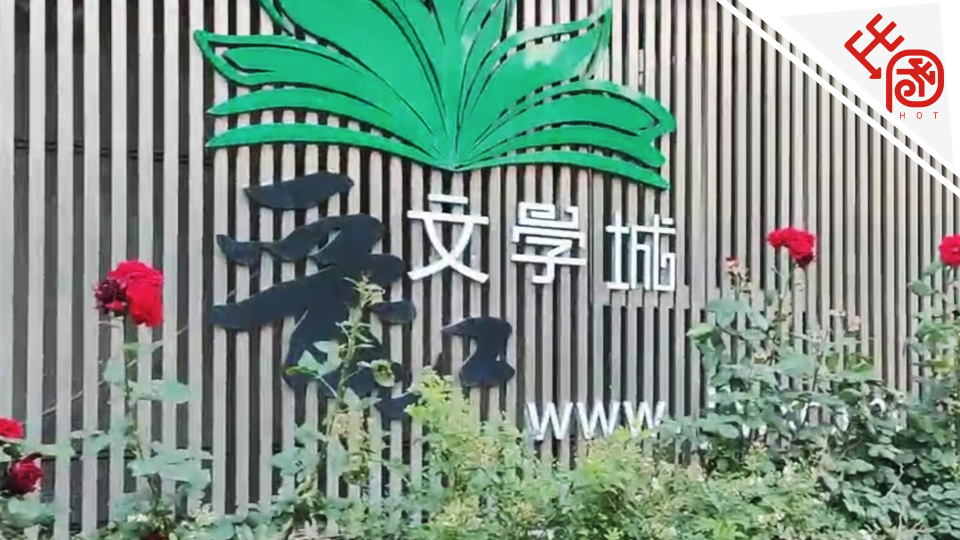 晋江文学城回应涉嫌传播淫秽色情信息:相关栏目关闭停更|晋江文学城|