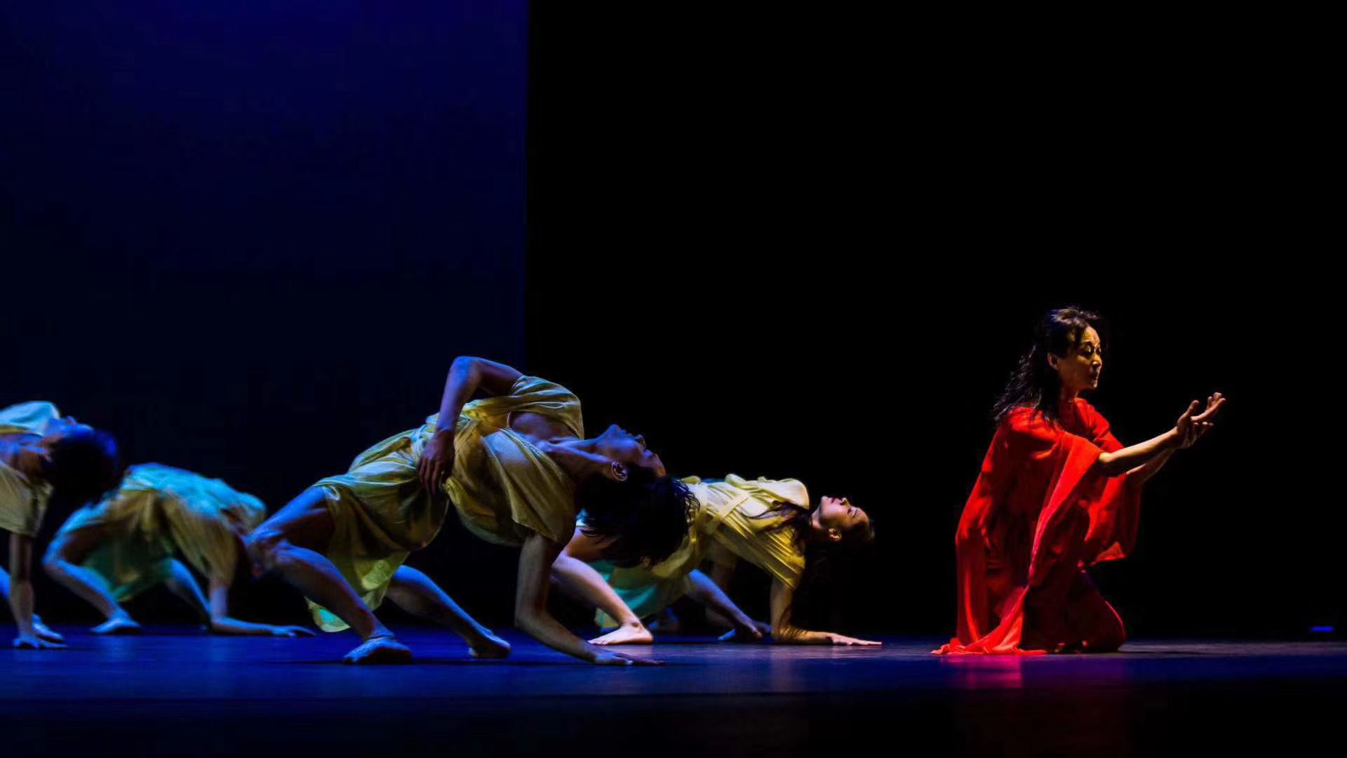 《舞@上海》特别演出落幕,金星最后一次跳《半梦》