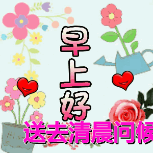 30早上好送你最全的早上好表情图片太美了快收藏