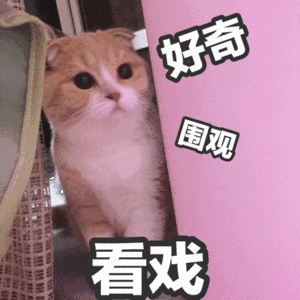 300_300gif 动态图 动图