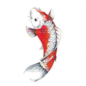 1萬成本微博漲粉28萬 “成都錦鯉”背后的網(wǎng)絡(luò)營銷