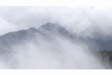 360_240gif 动态图 动图