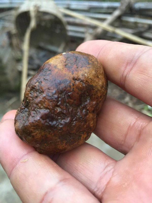 看起来像肉的石头价值几何美媒关注中国肉形石收藏