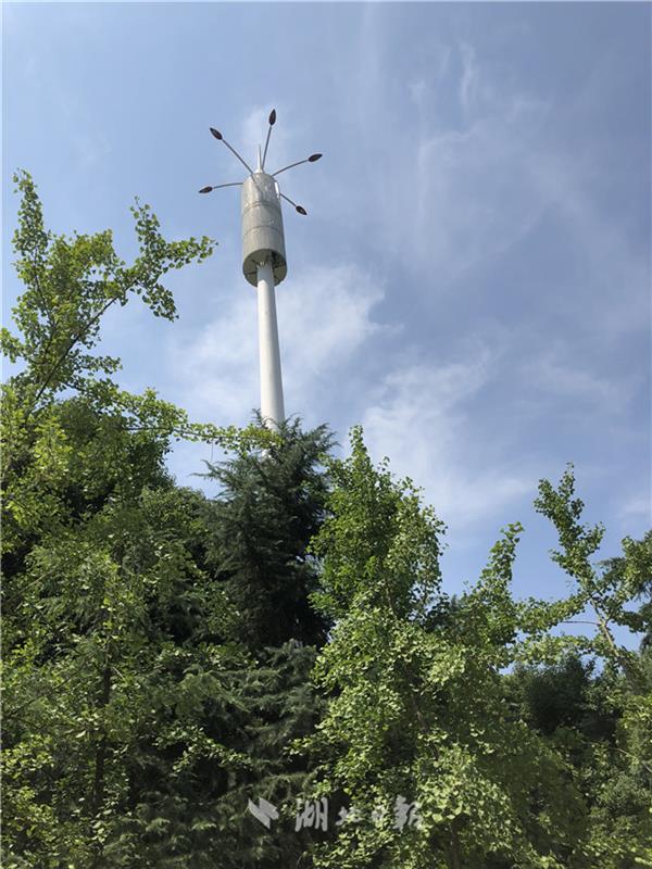 美化装饰的通信基站杆塔