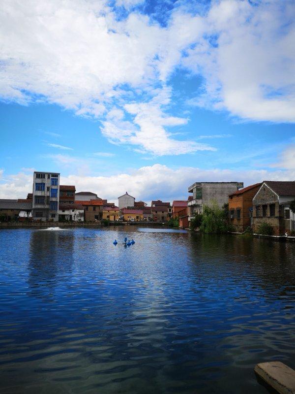 《乡村美景》王飞摄于金华鞋塘《碧空万里》悦享摄扫一扫二维码,下载