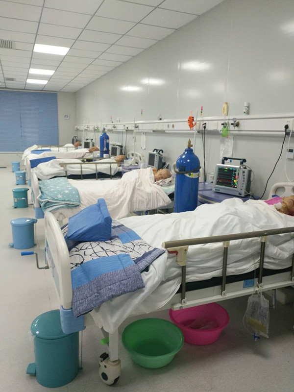 植物人群体意识出走后何处安身