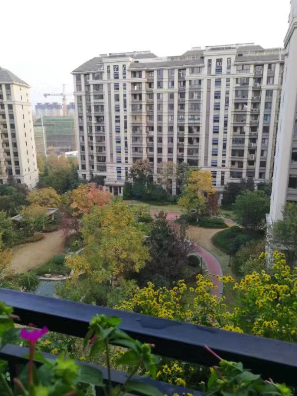 融侨观邸三期绿化大缩水,工作人员:成年人了,还不懂沙盘和效果图仅供