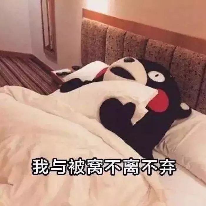 假期的三天, 如果您选择宅在家里, 那是多么英明呀!