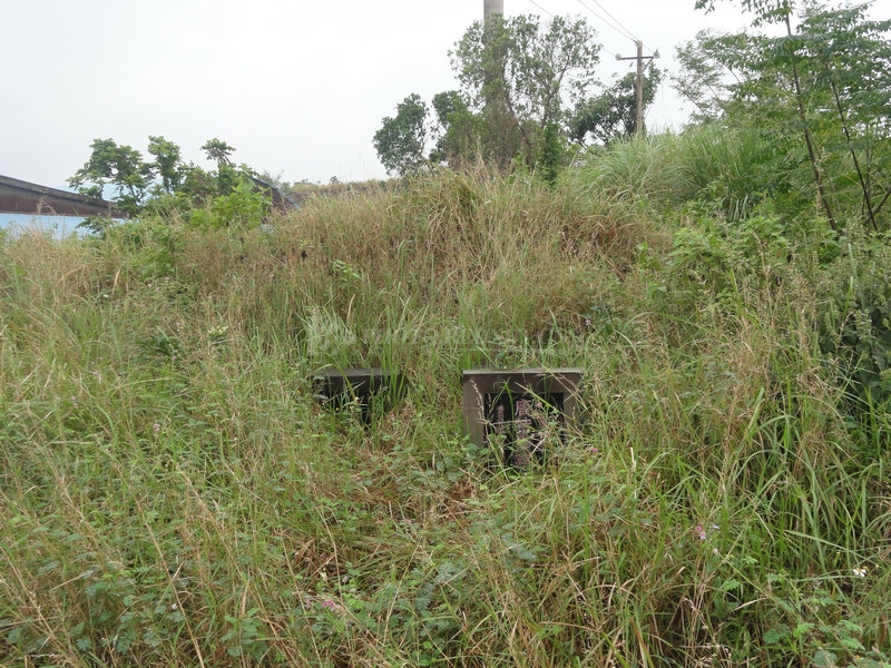海南省海口市秀英区永兴镇道心村唐震墓(市保)
