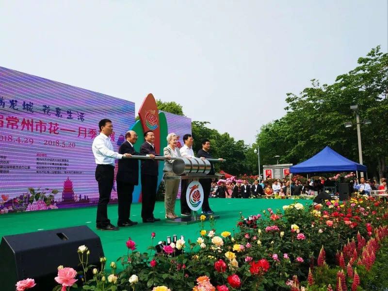 常州市花——月季花展开幕,持续至5月20日
