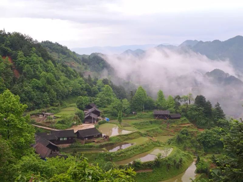 凯里小高山一个雨后天晴的日子来一场云海邂逅