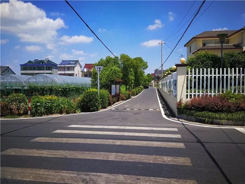 【网红看上虞】盖北家家有颗"掌上明珠"