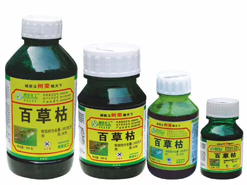 网红男孩吞百草枯自杀有些笑容背后是成年人想不到的心酸