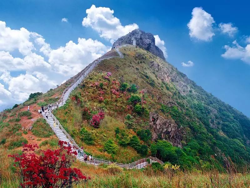清明小长假,登山,踏青,骑游……东莞春游攻略为你奉上!