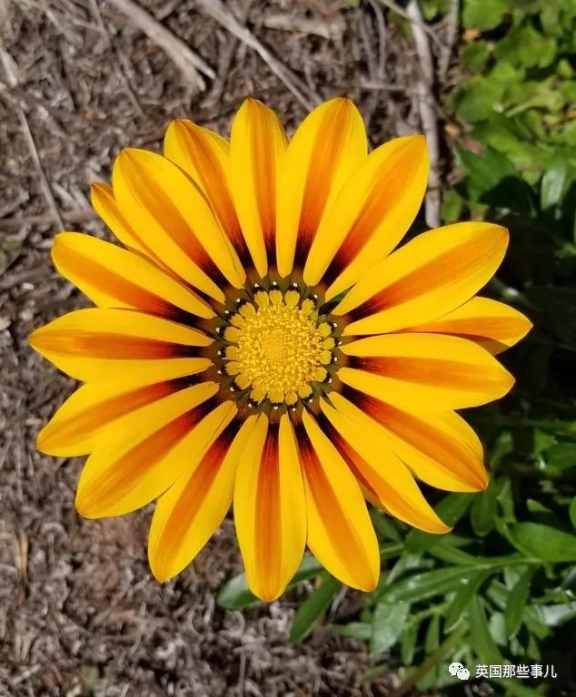 一波强迫症治愈图正在向你袭来看完神清气爽