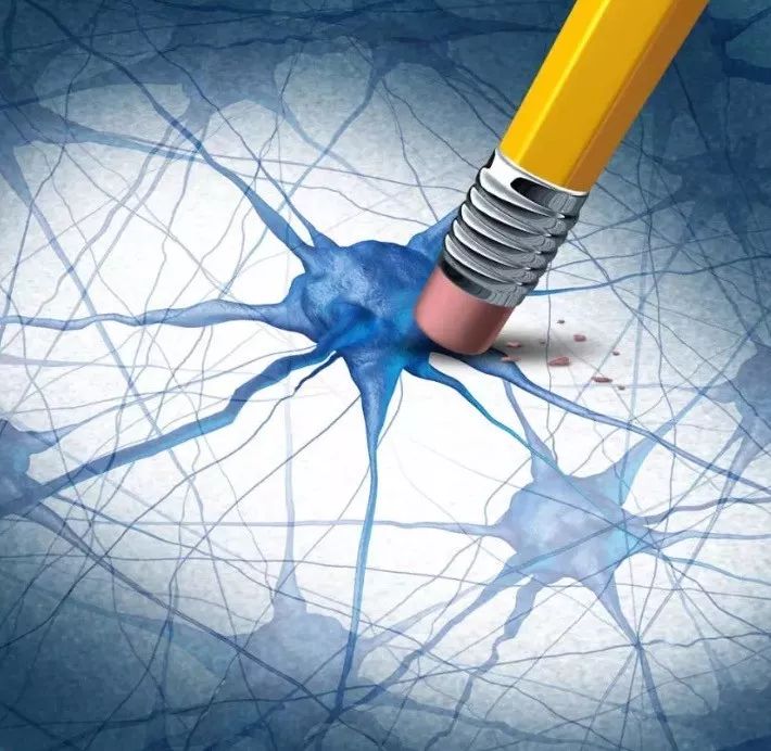 选择性遗忘究竟是怎么回事