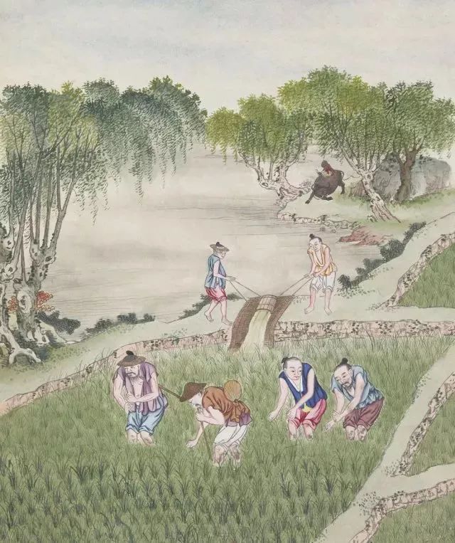 天高气爽秋已至,大好时节宜读诗