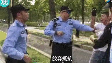 388_217gif 动态图 动图