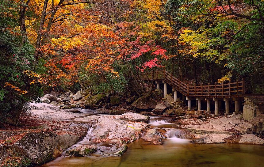 四川唯一入选城市!巴中又被国家看中啦,是什么事?